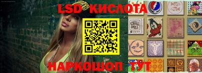 винт Будённовск