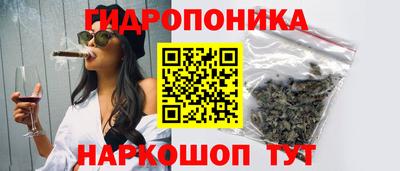 винт Будённовск