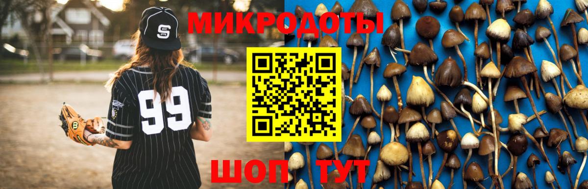 купить наркотик  Вход с VPN  Пугачёв  Галлюциногенные грибы прущие грибы 